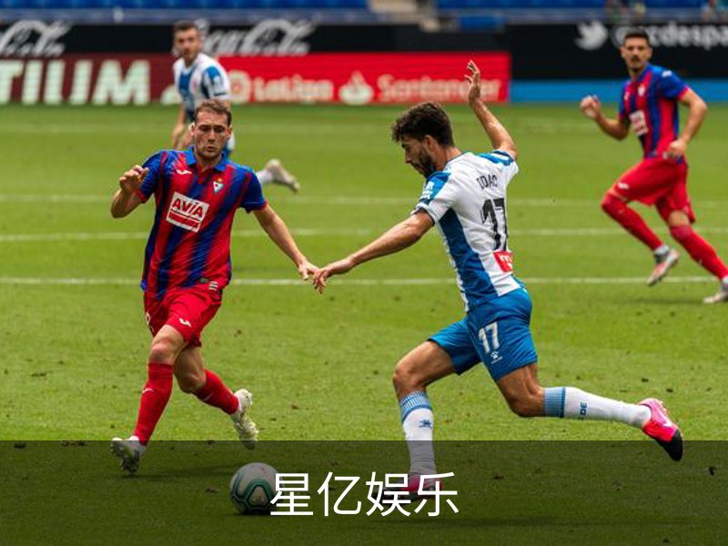 企业介绍